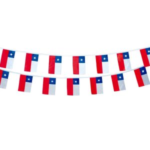 guirnalda de bandera chilena 20cm x 7.10 mt