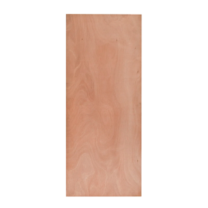 Puerta terciado 60